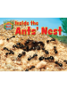Inside_the_ants__nest